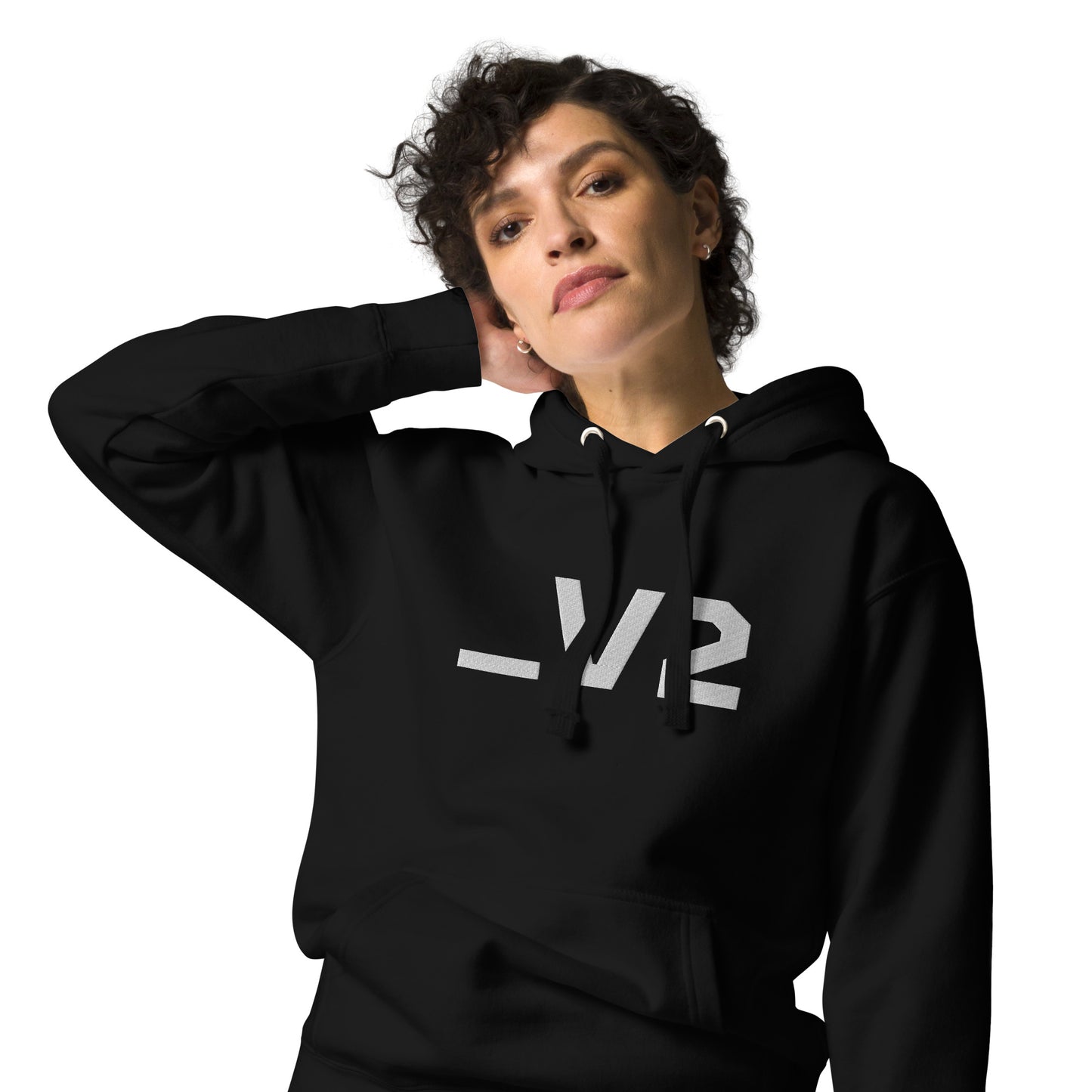 _V2 Large Embroidery Unisex Hoodie